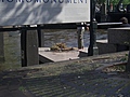 Homomonument 2