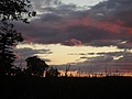 Lake Ontario Reeds at Sunset 4