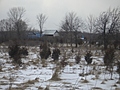 Our house from our back field