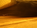 Dog nose 2: Floor without dog