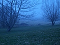Invisible Fog 4