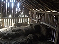 Inside an old barn 8