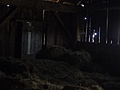 Inside an old barn 14