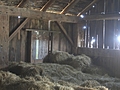 Inside an old barn 14