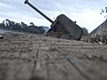 Driftwood