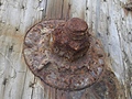 Rusty bolt