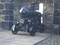 Cannon