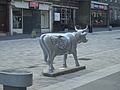 Molecular Cow