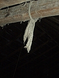 Rope in the barn 3