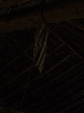 Rope in the barn 5