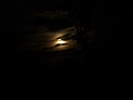 Athol Moon