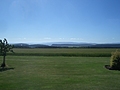 View from B and B
