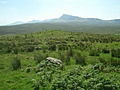 Ancient hill fort 2