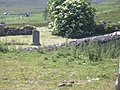 Isolated graveyard 8