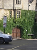 Door through ivy-covered wall