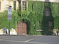 Door through ivy-covered wall 3