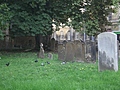 Oxford graveyard