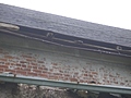 Rotten Rafters