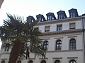 Tree and building
