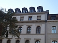 Tree and building 2