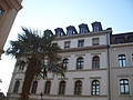 Tree and building 3
