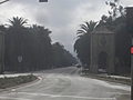 Stanford Campus: the avenue