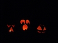 Halloween Pumpkins