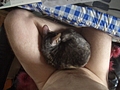 Roswell on my lap