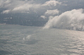 clouds from the 'plane 11