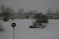 Snow in the Garden 1