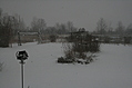 Snow in the Garden 2