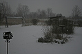 Snow in the Garden 4