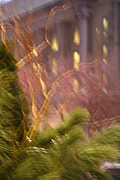Christmas Twigs