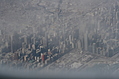 Downtown Chicago: aerial view 11