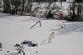No-one on the slide today 3