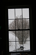 It's snowing in the garden 2