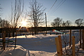 Landscape of Winter Trees 1