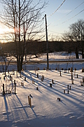 Landscape of Winter Trees 5