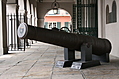 Cannon 2