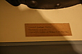 General Zachary Taylor 1: blurry caption