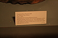 Fountainebleau Plantation Bell 3: the caption