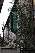 Creeper 1