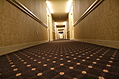 Hotel carpet 2
