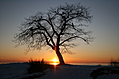 Point Petre Sunset