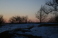 Winter trees at the shore
