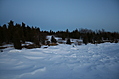 Winter trees 3