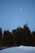 Winter forest with full moon