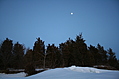Winter forest with full moon 2