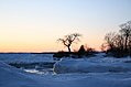 Sunset with tree