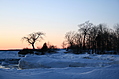 Sunset with tree 2